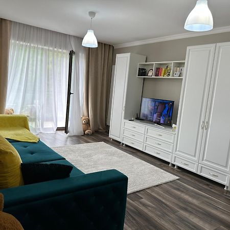 Silvelen Mountain View Apartment Braşov Buitenkant foto